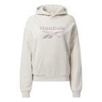 rbk-sudadera-cl-ae-big-logo-ft