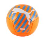 PUMA-PELOTA-BIG-CAT