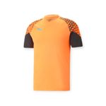 PUMA-POLERA-INDIVIDUALCUP-TRAINING-JERSEY