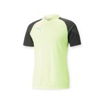 PUMA-POLERA-INDIVIDUALCUP-TRAINING-JERSEY
