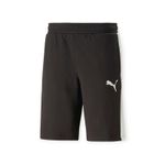 PUMA-SHORT-DYNA-MIX-10-TR