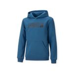 PUMA-SUDADERA-MASS-MERCHENTS-FL-B