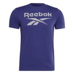 RBK-POLERA-RI-Big-Logo