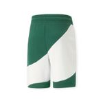 PUMA-SHORT-PUMA-POWER-CAT-SHORTS-9--TR10