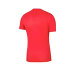 NIKE-POLERA-M-DF-PARK-VII-JSY-SS10