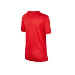 NIKE-POLERA-Y-DF-PARK-VII-JSY-SS10