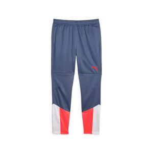PUMA PANTALON INDIVIDUALCUP TRAINING