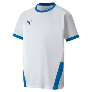 PUMA POLERA TEAMGOAL 23 JERSEY JR KIDS PARA NIÑO JUVENIL