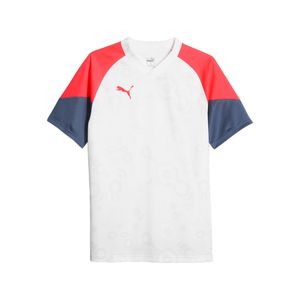 PUMA POLERA INDIVIDUALCUP JERSEY