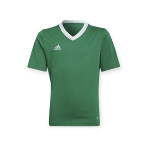 ADIDAS POLERA ENT22 JSY Y KIDS PARA NIÑO PRE-ESCOLAR