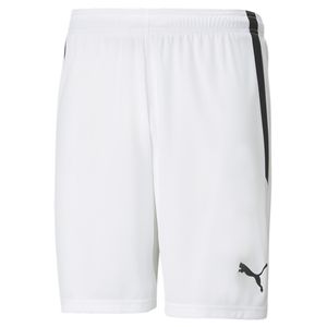 PUMA SHORT TEAMLIGA