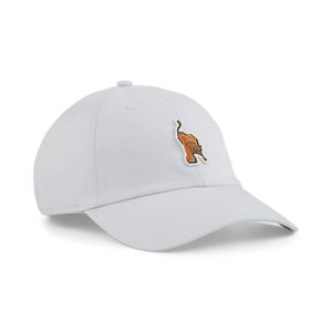PUMA GORRA PRIME DAD