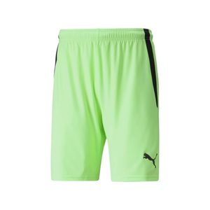 PUMA SHORT TEAMLIGA