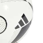 IX4019