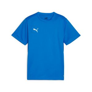 PUMA POLERA TEAMGOAL JERSEY JR KIDS PARA NIÑO JUVENIL