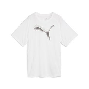 PUMA POLERA EVOSTRIPE TEE