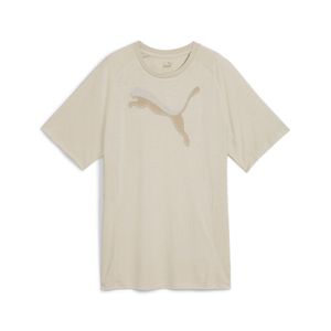 PUMA POLERA EVOSTRIPE TEE