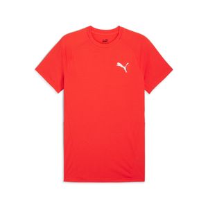 PUMA POLERA EVOSTRIPE TEE
