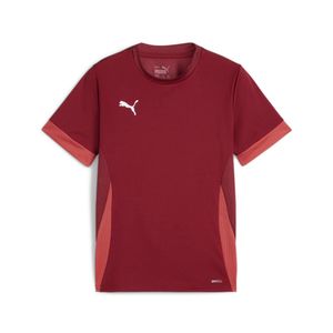 PUMA POLERA TEAMGOAL MATCHDAY JERSEY JR KIDS PARA NIÑO PRE-ESCOLAR