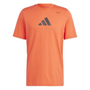 ADIDAS POLERA M TR CAT G T