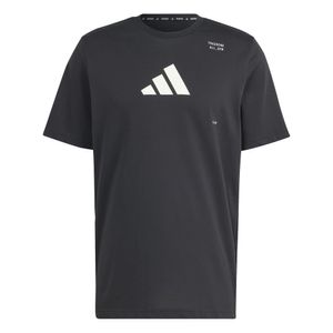 ADIDAS POLERA M TR CAT G T