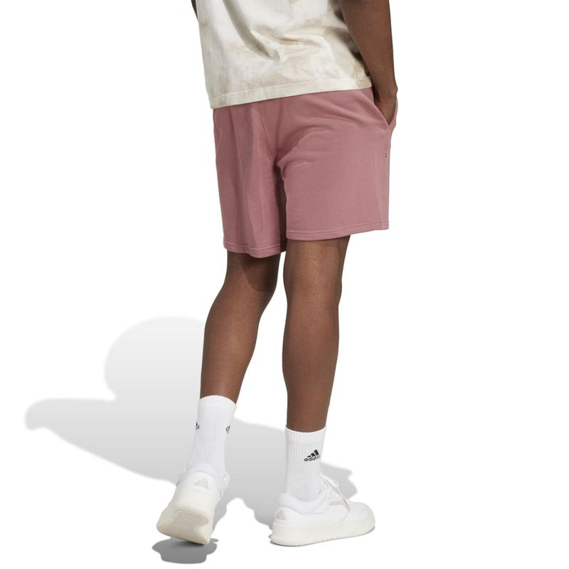 IY6560