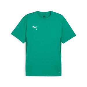 PUMA POLERA TEAMGOAL  JERSEY