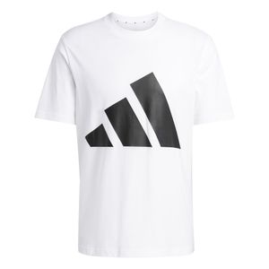ADIDAS POLERA M BL SJ T