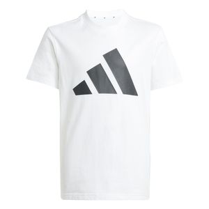 ADIDAS CONJUNTO J BL T-SET FT KIDS PARA NIÑO JUVENIL