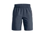 UA-SHORT-WOVEN10