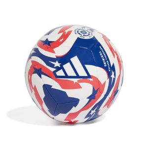 ADIDAS PELOTA FCWC TRN